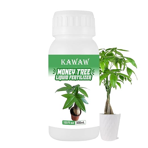 Money Tree Fertilizer for Money Trees and All Pachira Plants,Microbial Organic Liquid Plant Food for Houseplants’ Healthy Growth & Glossy Leaves 10 oz (300mL)