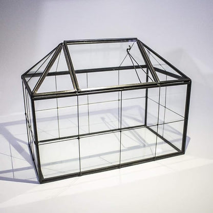 Ferrisland Glass Terrarium Greenhouse House Shape Display Box Planter for Succulents Plant Terrarium Container Mordern Tabletop Decor Gardern DIY Kit