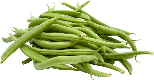 Park Seed Organic Derby Bush Green Bean Seeds – AAS Winner, High Yield 18-Inch Plants, Straight 7-Inch Pods, Disease Resistant, Easy to Harvest and Preserve for Home Gardens – Pack of 100 Seeds