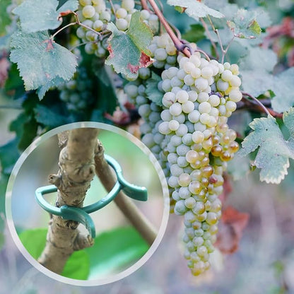 2026 Upgraded Plant Support Clips, Orchid Clips Plant Clip for Climbing Plants, Reusable Trellis Garden Clip for Tomatoes Cucumbers Grapes Vegetables Flower Vines Grow Upright (100, L)