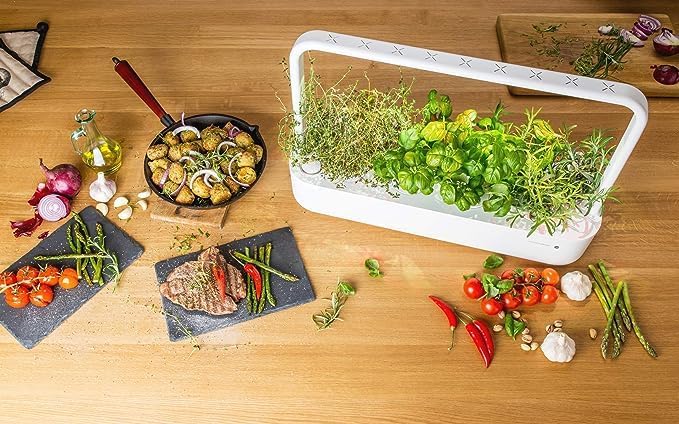 Click and Grow Smart Garden Mini Tomato Plant Pods, 3-Pack