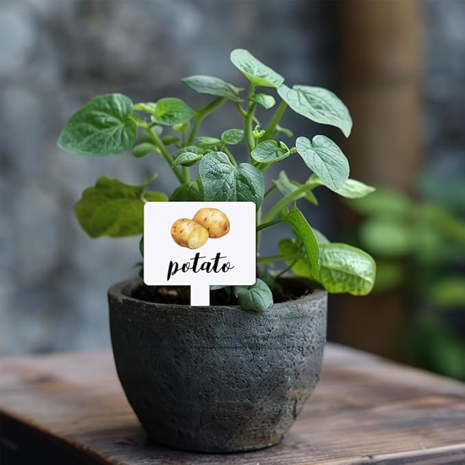arricraft 15 Pcs Acrylic Vegetables Plant Labels, Potatoes Tomatoes Carrots Plant Markers with Handwriting Name Clear Garden Tags Sign for Seed Potted Farm Supplies Garden Gift 4x2.67inch(10.2x6.8cm)