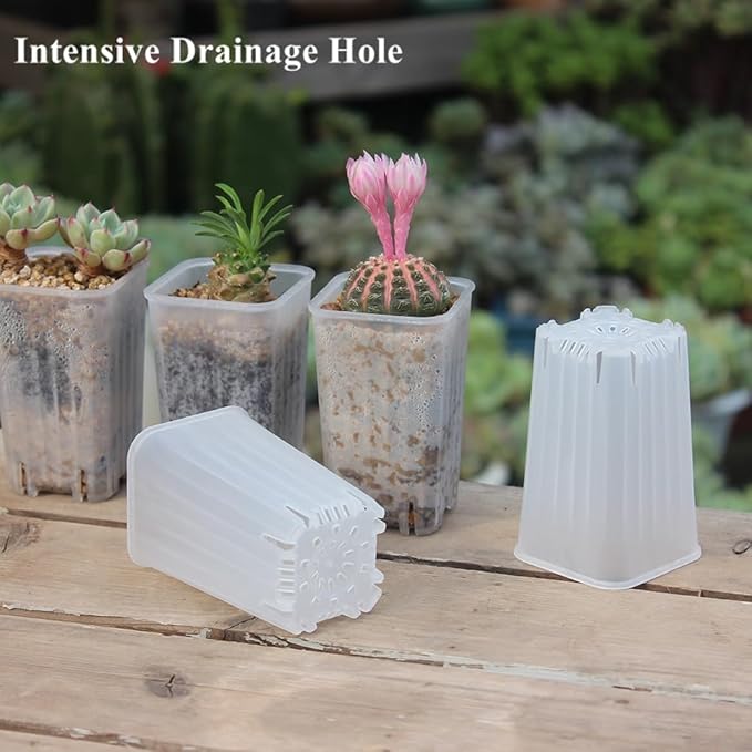 BangQiao 180 Pack 1.95 Inch Tiny Clear Plastic Square Nursery and Seedling Pot, Mini Deep Transplant Seed Starter Planter with Drain Hole for Germination, Herb, Succulent
