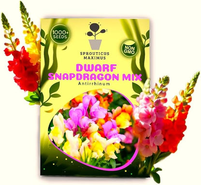 Seeds Multicolor Dwarf Snapdragon Seed Mix 1000+ Seeds to Grow Compact Snapdragon Assorted Colors