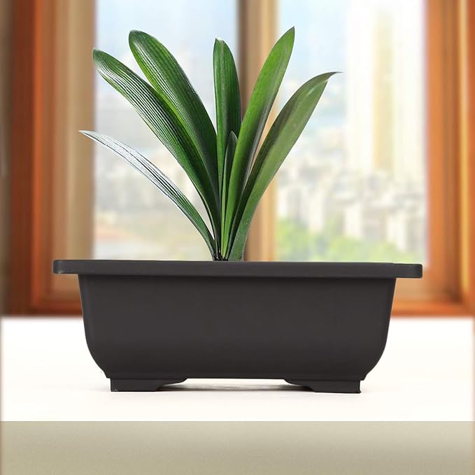 KINJOEK 15 PCS 6.5 Inch Plant Pot, Rectangular Plastic Bonsai Training Pots with 15 Humidity Trays, Flower Succulent Pots Container for Garden, Indoor, Home Decorative