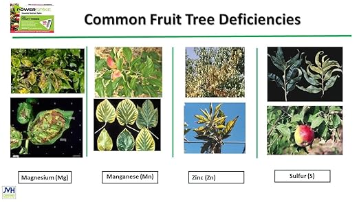 for Fruit Trees. Specifically formulated to Effectively Feed and fertilize All Types of Fruit Trees and addess Common Deficiencies (20)