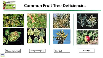 for Fruit Trees. Specifically formulated to Effectively Feed and fertilize All Types of Fruit Trees and addess Common Deficiencies (20)