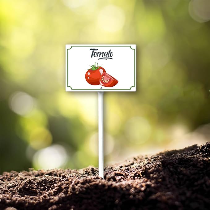 Boylee Vegetable Signs With Stake Tomato Garden Signs For Vegetables Herb Garden Signs Garden Name Stakes For Plants 8x12inch Outdoor Indoor Herbs Flowers Potted Plants