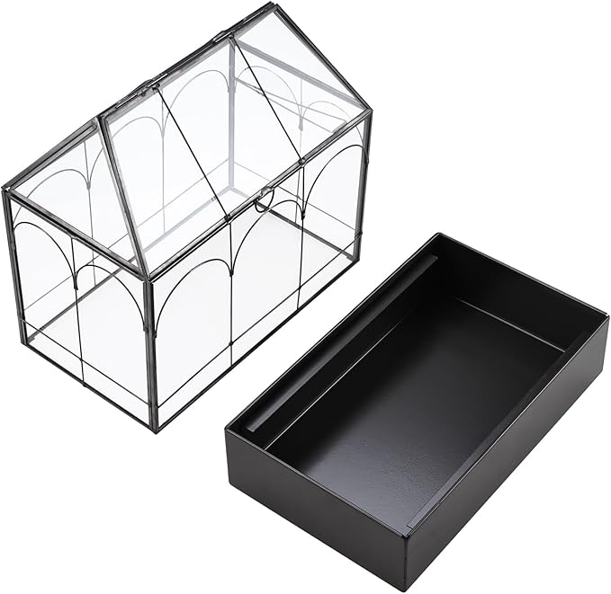 HighFree Large Glass Terrarium with Metal Tray, Glass Greenhouse Terrarium, Succulent Terrarium Kit for Succulents, Cacti, Snails, Spiders, and Miniature Reptiles, Black (Velvet Bottom)