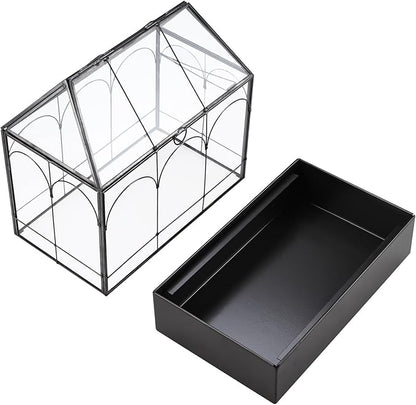 HighFree Large Glass Terrarium with Metal Tray, Glass Greenhouse Terrarium, Succulent Terrarium Kit for Succulents, Cacti, Snails, Spiders, and Miniature Reptiles, Black (Velvet Bottom)
