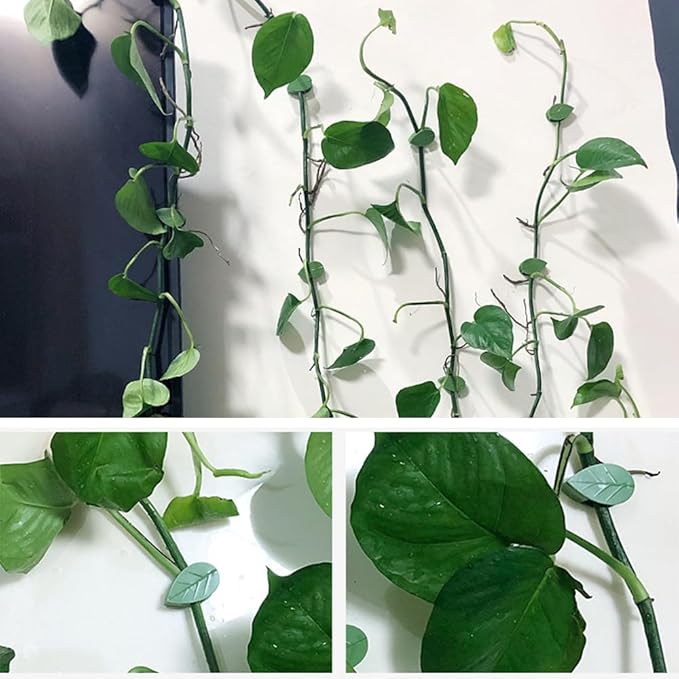 Plant Climbing Wall Fixture Clips, 2026 New Plant Clips for Climbing Plants, Green Leaf Shaped Self-Adhesive Plant Wall Clips for Vine Support Traction and Cable Organization (10, Green)