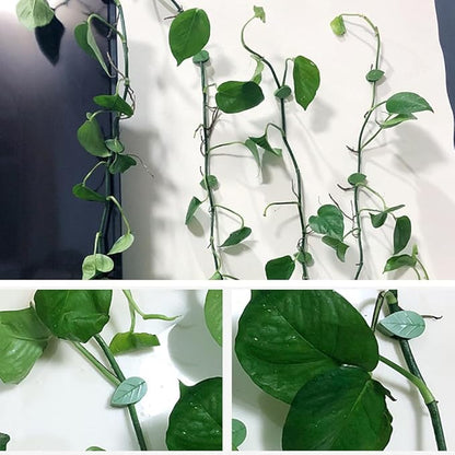 Plant Climbing Wall Fixture Clips, 2026 New Plant Clips for Climbing Plants, Green Leaf Shaped Self-Adhesive Plant Wall Clips for Vine Support Traction and Cable Organization (20, Green)
