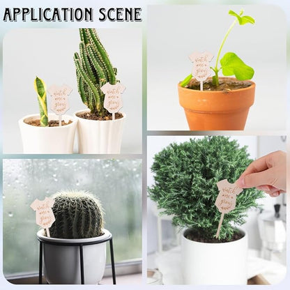 GORGECRAFT 30Pcs Watch Me Grow Plant Tags Succulent Labels Clothes Wooden Plant Stakes Gift Nursery Garden Marker Sign for Seed Potted Flower Herbs Teacher Appreciation Xmas Thanksgiving Supplies