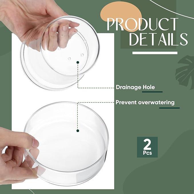 Baderke 4 Inch and 6 Inch Glass Plant Pots with Saucer, Flower Nursery Plant Pots with Drainage for Flower Seed Starter Transparent Seedling (2 Sets)