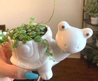 GeLive Tortoise Succulent Planter Turtle Plant Pot Animal Fun Vase Window Box Cute Home Decoration, 5 Inch, Indoor Outdoor