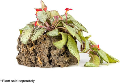 Josh's Frogs Virgin Cork Planters (4 inch Tall)