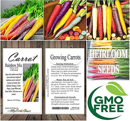 Big Pack - (3,500+) Rainbow Mix Carrot Seeds - Atomic Red, Bambino Orange, Cosmic Purple, Lunar White and Solar Yellow Seeds (Big Pack - Carrot Rainbow Mix)