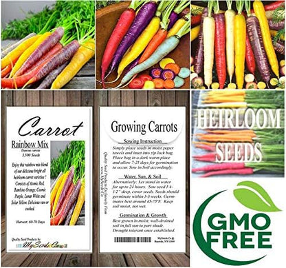Big Pack - (3,500+) Rainbow Mix Carrot Seeds - Atomic Red, Bambino Orange, Cosmic Purple, Lunar White and Solar Yellow Seeds (Big Pack - Carrot Rainbow Mix)