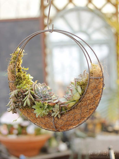 Firlar Round Wire Wreath Frame, Moon Shaped Metal Hanging Planter Plant Holder Flower Hanging Basket, Succulent Pot Decor Basket, Hanging Flower Stand Hanging Wall Plant Holder