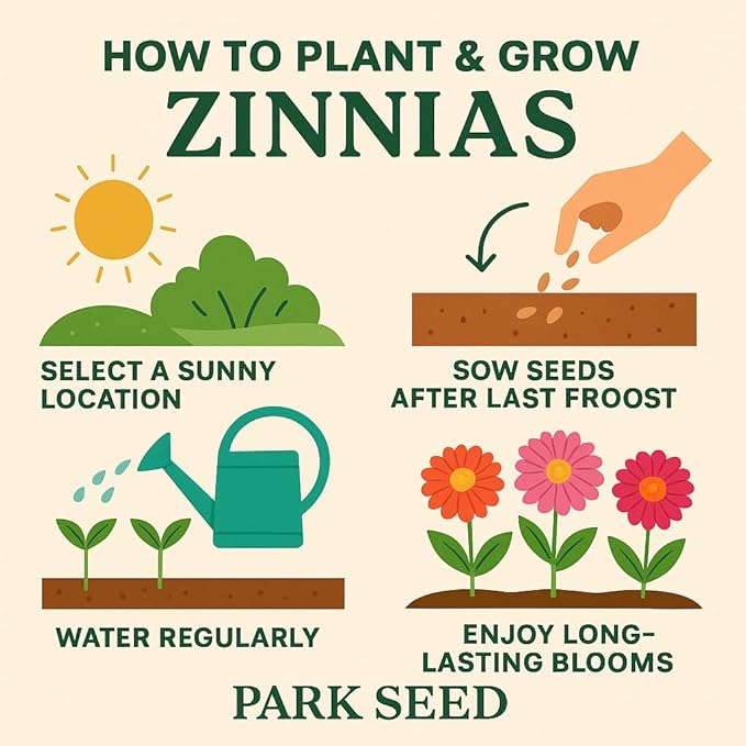 Park Seed Zinnia Flower Planting Seeds, Easy to Grow, Perfect for Spring Garden, Giant Cactus Mix, Pack of 50