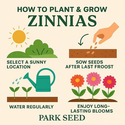 Park Seed Zinnia Flower Planting Seeds, Easy to Grow, Perfect for Spring Garden, Funfair Mix, Pack of 50