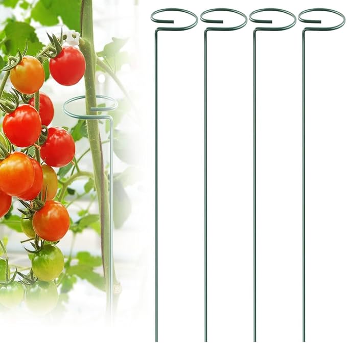 4 PCS Tomato Twist Stake, 2025 Premium Tomato Stakes and Supports, Metal Plant Support Garden Stakes, Spiral Plant Support for Potted Plants Tomato, Climbing Plant Stakes Tower Plant Supports