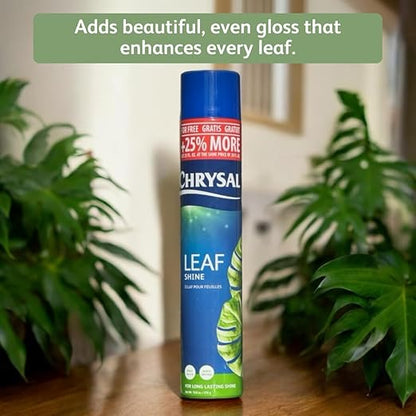 Chrysal Leaf Shine Spray for Indoor Plants (25 Ounce 1 Pack)