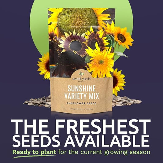 Bulk Sunflower Seeds - Variety Mix 10 Types of Beautiful Sunflowers - 1/4 Pound Bag Open Pollinated Sunflower Seeds for Planting