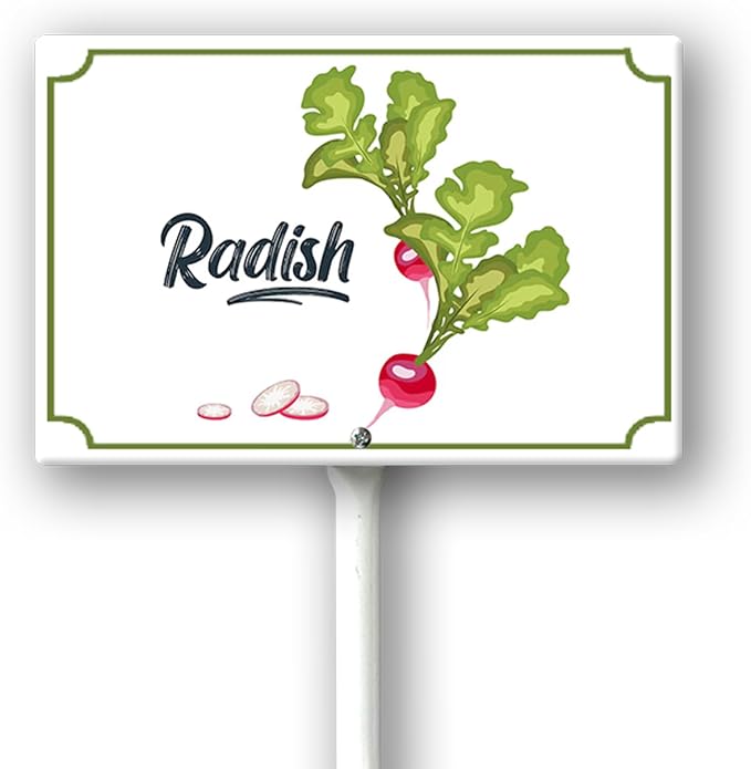 Boylee Vegetable Signs With Stake Radish Garden Signs For Vegetables Herb Garden Signs Garden Name Stakes For Plants 8x12inch Outdoor Indoor Herbs Flowers Potted Plants