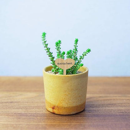 ONLYKXY 10 Pieces Plant Labels, Bamboo Plant Seed Labels Set, Heart Shaped Head Wooden Plant Sign Tags, Nursery Garden Herbs Flowers Vegetables Seed Potted Plants Markers, (6 x 10 cm)