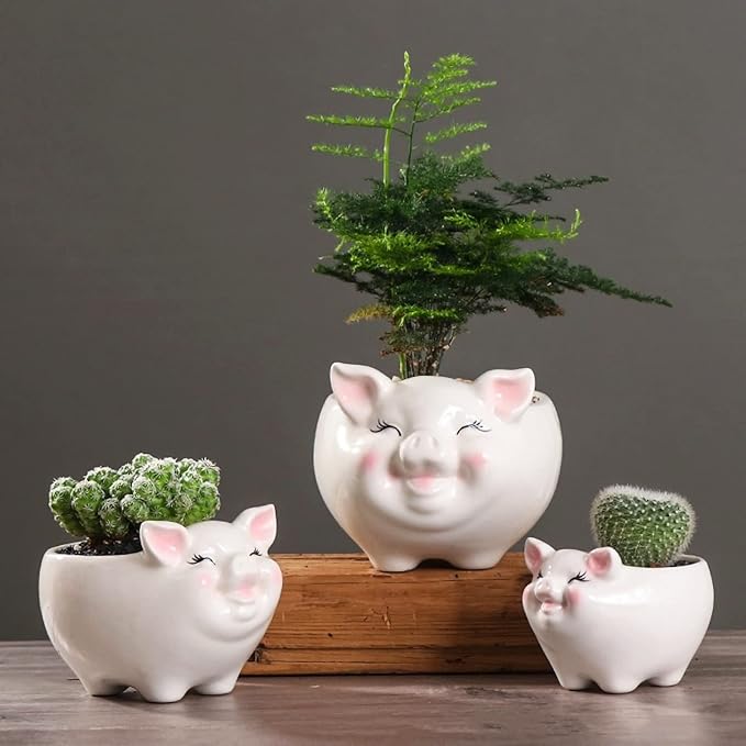 Cuteforyou Succulent Pots, Cute Animal Pig Shaped Ceramic Cactus Flower Planters -Plant Not Included (White, Small)