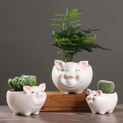 Cuteforyou Succulent Pots, Cute Animal Pig Shaped Ceramic Cactus Flower Planters -Plant Not Included (White, Small)