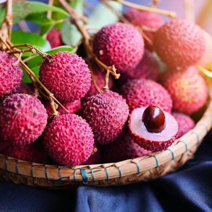 20 Giant Lychee Seeds Exotic Fruit Heirloom Sweet Tropical Fruit Litchi Chinensis Seed