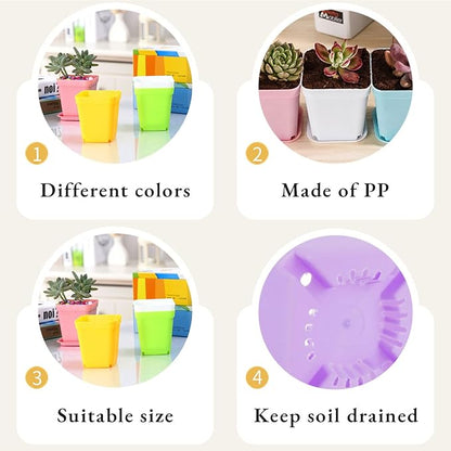 Anyumocz 42 PCS Plastic Square Plant Pots,Multi Color Nursery Pots,Small Flower Pots for Indoor Outdoor Plants,Garden,Home Balcony Decorations