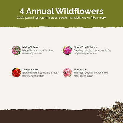 Eden Brothers Cupid's Flower Seed Mixed Seeds for Planting, 1/4 lb, 120,000+ Seeds with Malop Vulcan, Zinnia | Attracts Pollinators, Plant in Spring, Zones 2, 3, 4, 5, 6, 7, 8, 9, 10