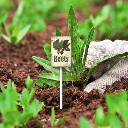 Uptell Vintage Vegetable Signs for Garden with Stake Beets Yard Sign Vegetable Garden Label Stakes Plant Markers for Outdoor Plants Waterproof 8.8x7inch