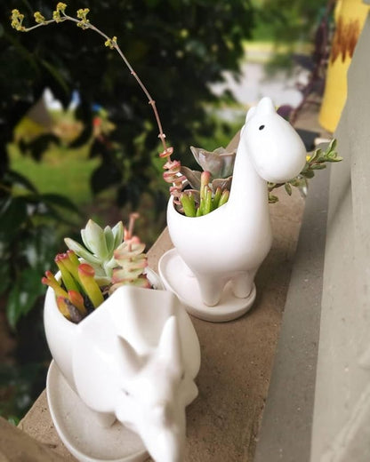 Ceramic Succulent Plant Pot Cactus Plant Pot Flower Pot Container Planter with Drainage Hole Home Office Desk Garden Gift Idea Animal Shaped Flower Pot Cute Vase Pot (4pcs Dinosaur)