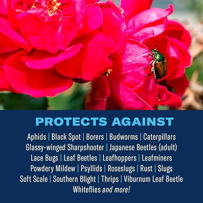BioAdvanced All-In-One Rose and Flower Care Fertilizer, Granules, 4 lb