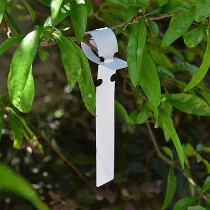 Foraineam 600 Pcs Hanging Plant Tree Tags White Plastic Plant Markers Labels Wrap Around Nursery Garden Plant Tags