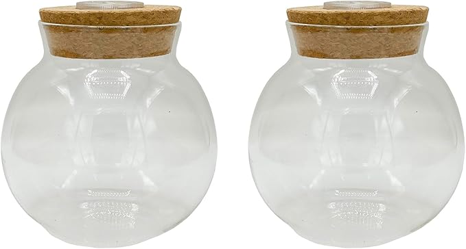 Silver Circle Products Unique Gardener: Glass Terrarium 2 Pack - 4'' with Cork & 3 LEDs - Light-Up Cork, Gardening Planter, Glass, for Succulents, Flowers & More