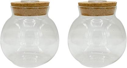 Silver Circle Products Unique Gardener: Glass Terrarium 2 Pack - 4'' with Cork & 3 LEDs - Light-Up Cork, Gardening Planter, Glass, for Succulents, Flowers & More