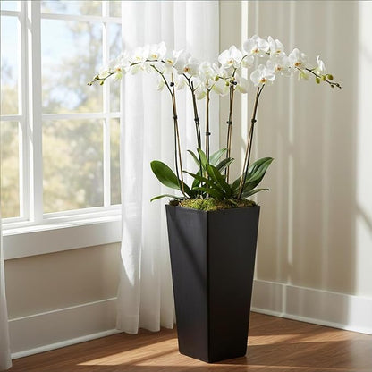 GreenShip 27 inch Tall Planters for Indoor Outdoor Plants, Set of 2 - Large Black Flower Pots with Drainage & Inner Shelf, Modern Decorative Garden Pots for Porch, Patio, Front Door