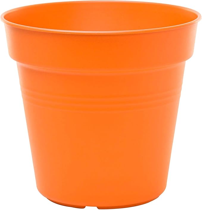 Mintra Home Garden Pots 4pk - Flowers, Herbs, Plants, Indoor, Outdoor, Colorful, Wholesale, Bulk (Orange, 11cm Diameter (4.3in))