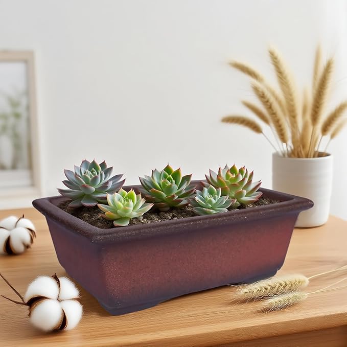 MUZHI Decorative Ceramic Bonsai Planter Pot 8.5 Inch with Tray, Breathable Unglazed Rectangle Terracotta Clay Pot for Tree Succulent Cactus Indoor Outdoor Red Brown