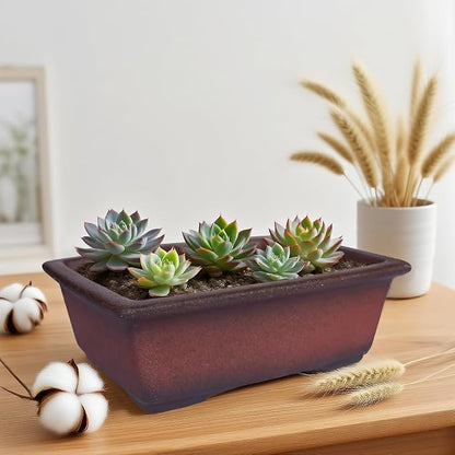 MUZHI Decorative Ceramic Bonsai Planter Pot 8.5 Inch with Tray, Breathable Unglazed Rectangle Terracotta Clay Pot for Tree Succulent Cactus Indoor Outdoor Red Brown