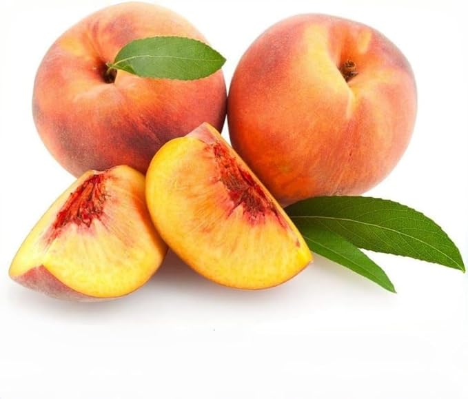 Peach Tree Seeds 5pcs – Sweet Juicy Fruit Variety – Non-GMO Hardy, Fast-Growing Fruit Tree for Home Gardens, Orchards & Pots
