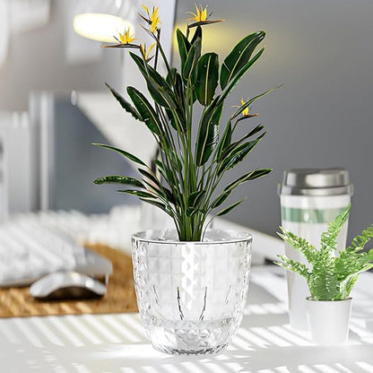 2 Pack 6 inch Self Watering Pots Planters for Indoor Plants, African Violets Pots with Wick Rope, Modern Plastic Nursery Pots for All House Plants,Flowers Succulents,Herbs,Cactus,Orchids