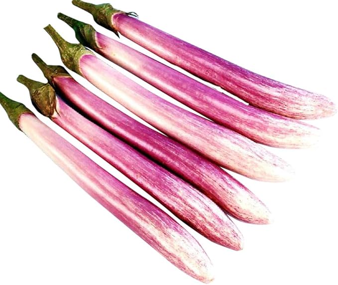 Rosa Blanca Eggplant Seeds