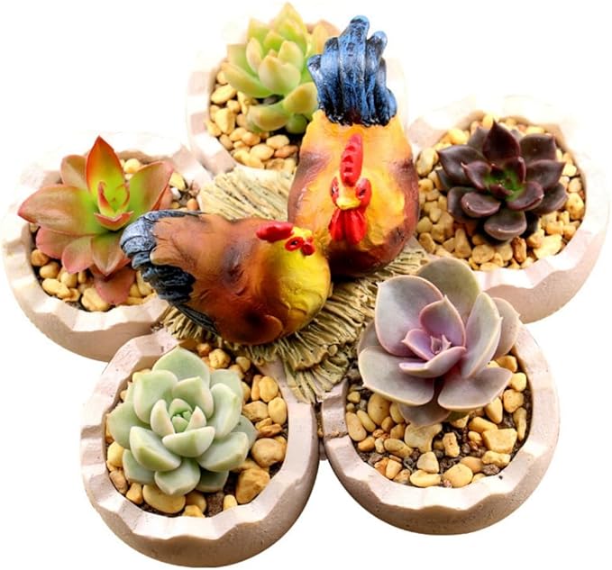 Fantasee Succulent Pot, Small Garden Pots with Drainage Hole, Resin Plants Flower Pots Miniature Ornaments for Home Office Decor (Chicken Nest)