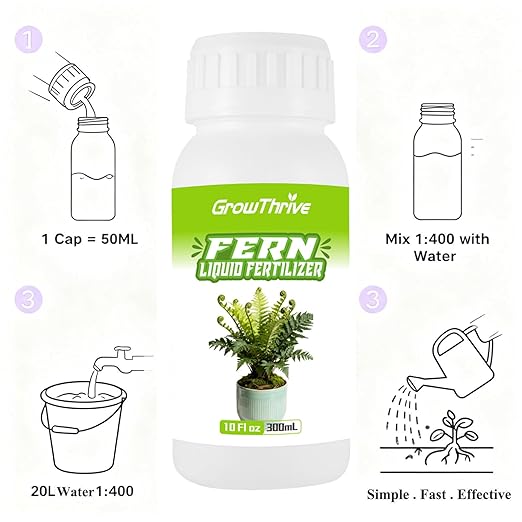 Fern Liquid Fertilizer – Natural Organic Plant Food for Ferns, Indoor & Outdoor Use, 300ml Concentrated Probiotic Formula for Greener Leaves, Strong Roots & Healthy Growth